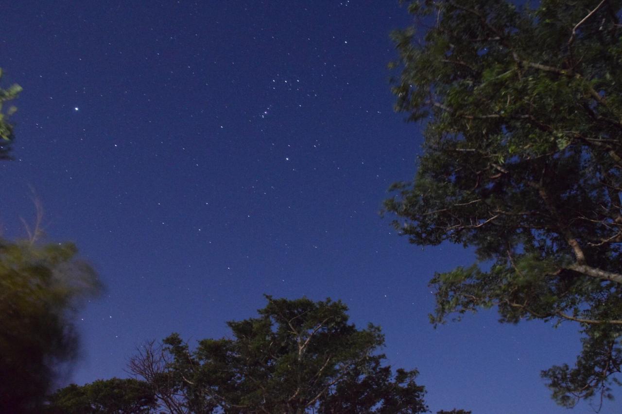 Yakushima Minsyuku Suginoko Bed and Breakfast Εξωτερικό φωτογραφία