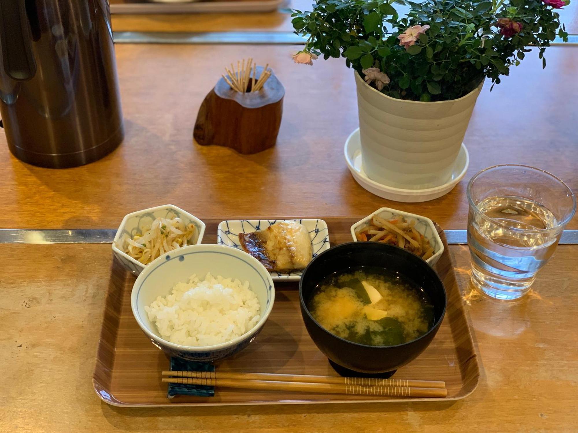 Yakushima Minsyuku Suginoko Bed and Breakfast Εξωτερικό φωτογραφία